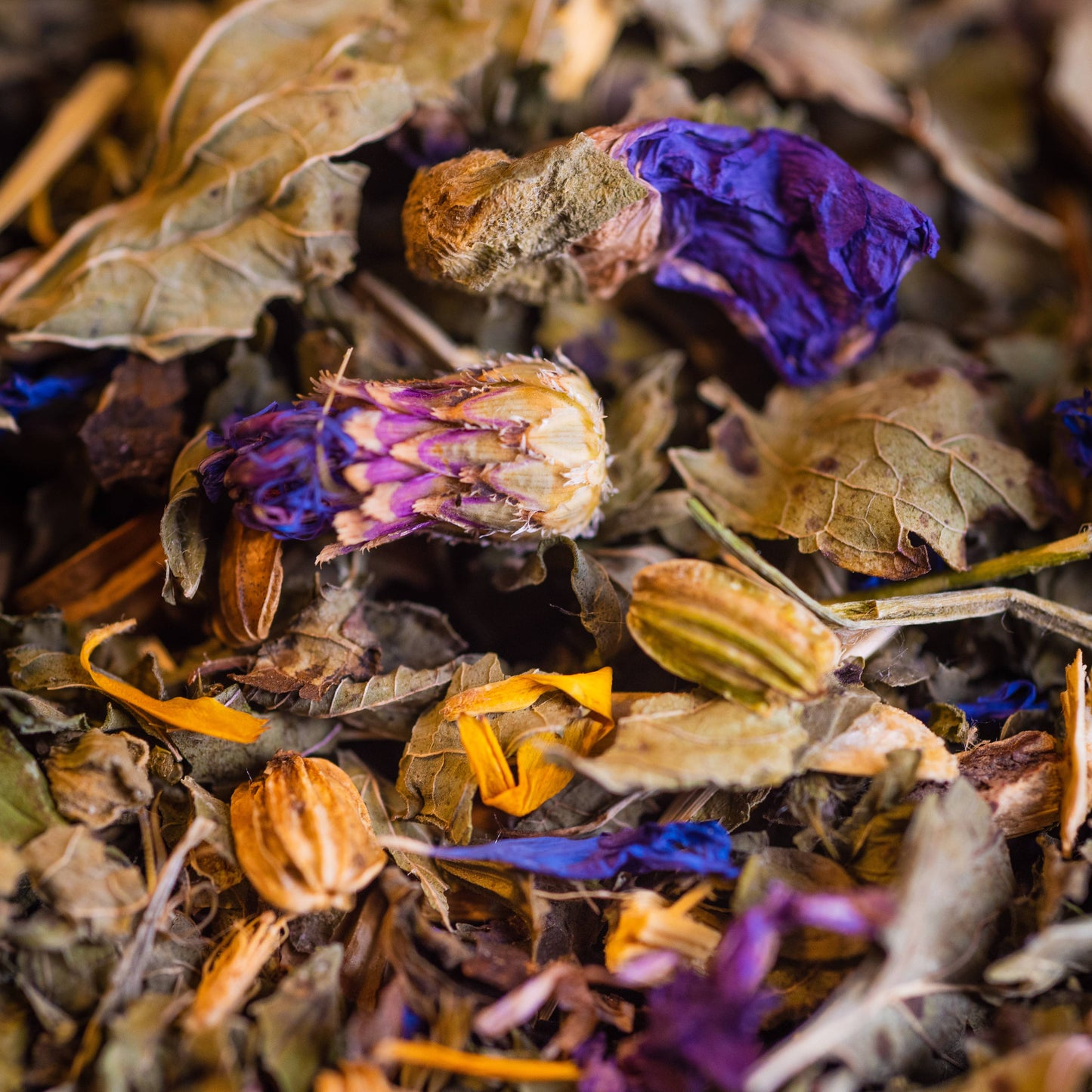 TISANE DE LA FAMILLE BIO 50G